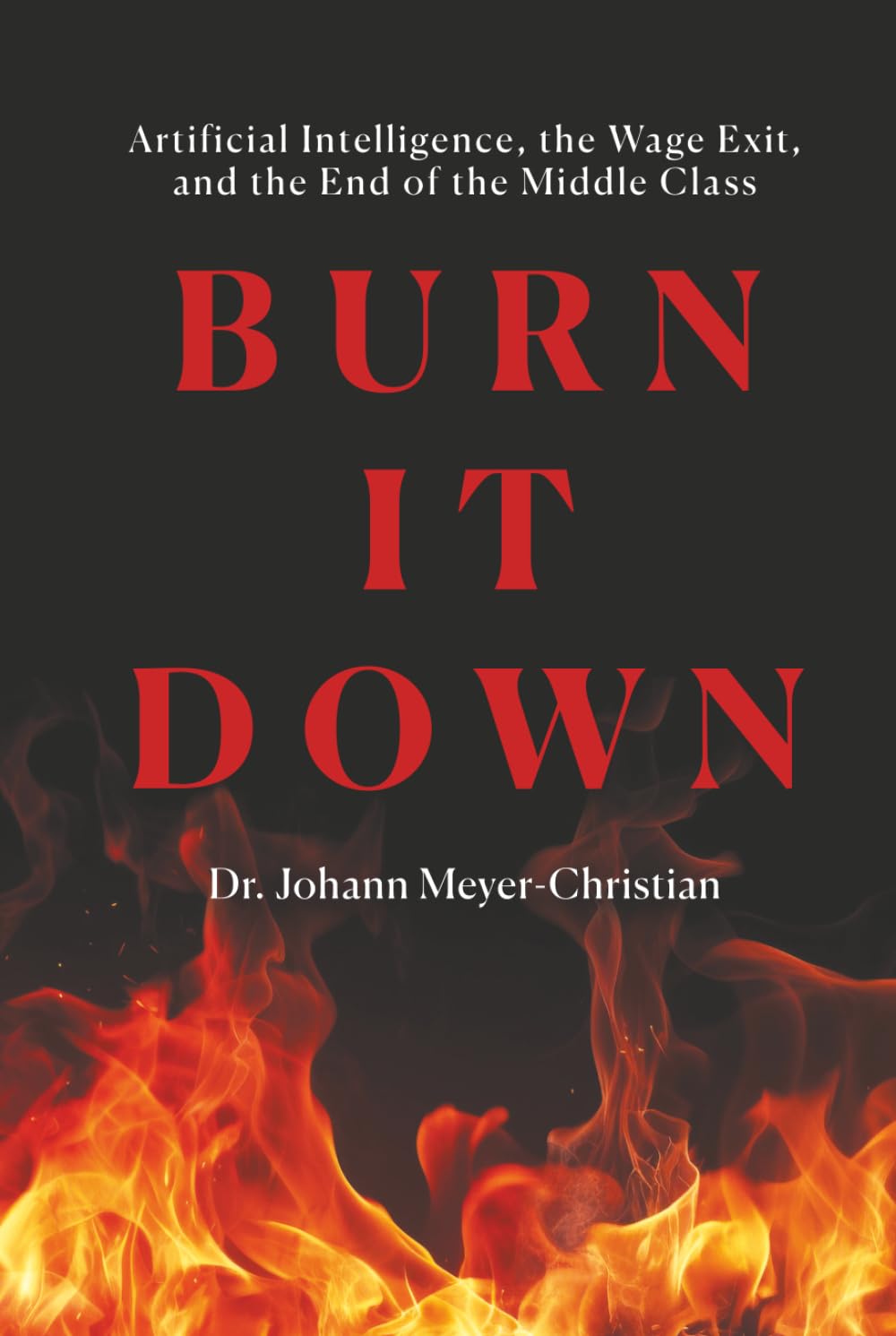 BURN IT DOWN: Artificial Intelligence, the Wage Exit, and the End of the Middle Class