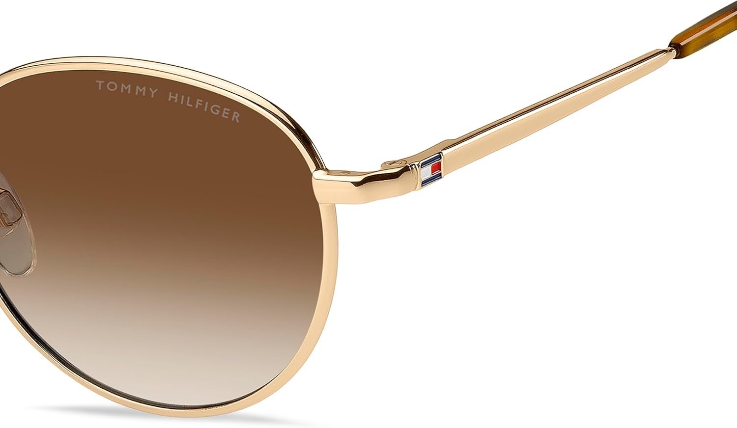 Tommy Hilfiger Unisex Roundsunglasses Round Sunglasses