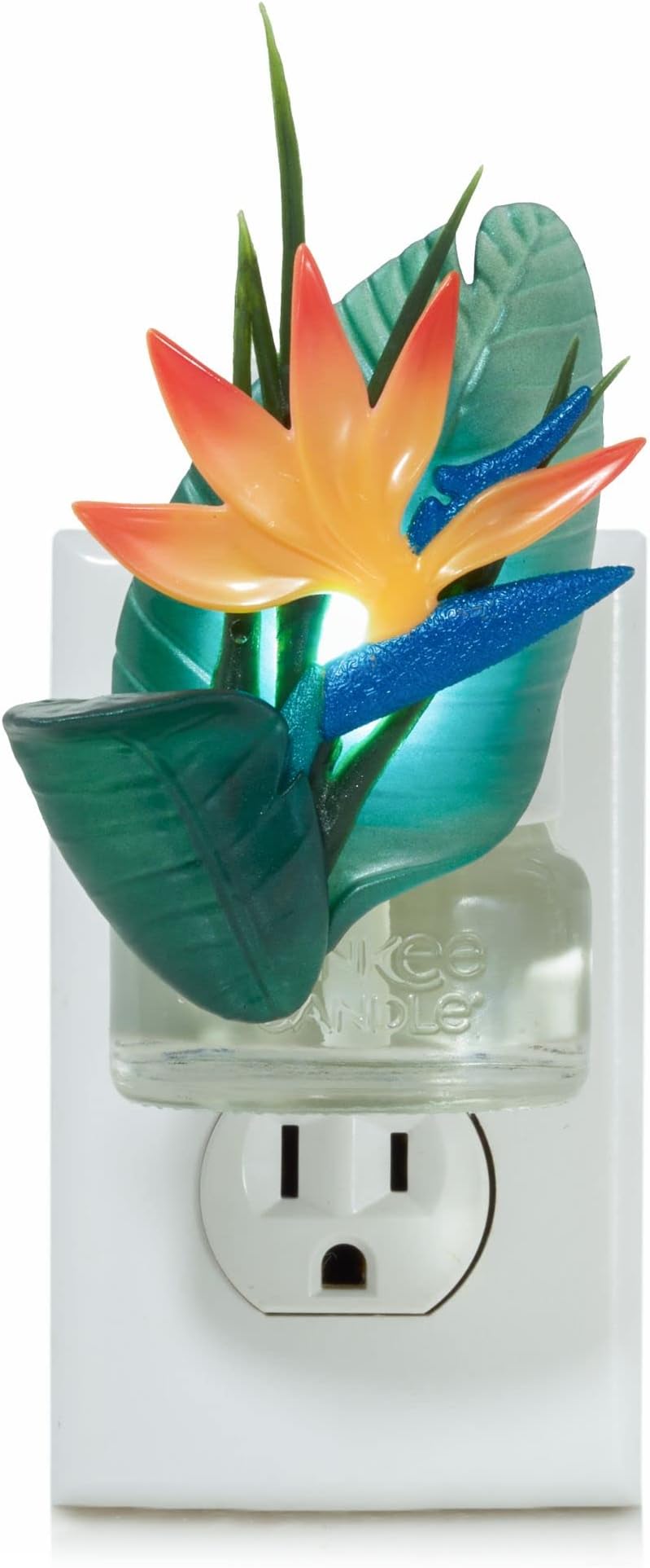 Amazon.com: Yankee Candle Watering Can ScentPlug® Diffuser : Home & Kitchen