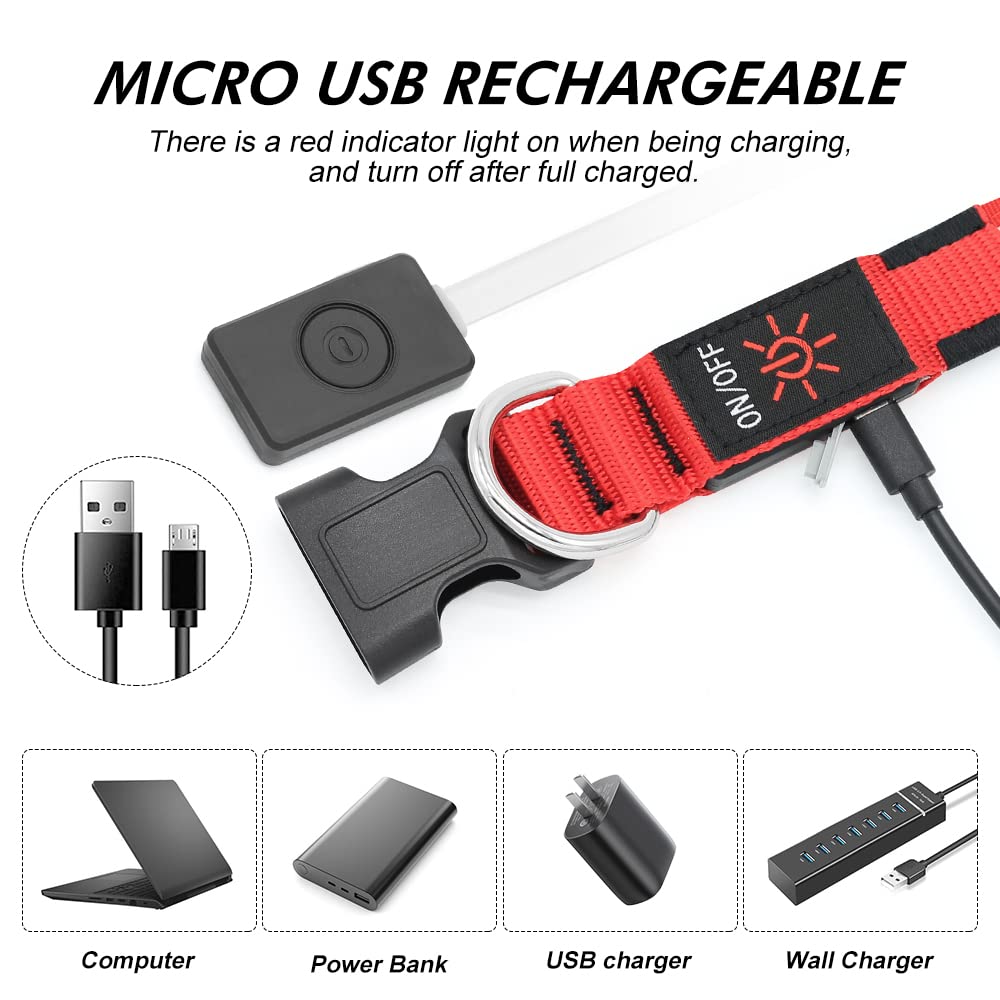 BSEEN Collare per cani che si illumina, collare per cani a LED ricaricabile, impermeabile, riflettente, con luci natalizie che si illuminano al buio, per passeggiate notturne (rosso rubino, M)