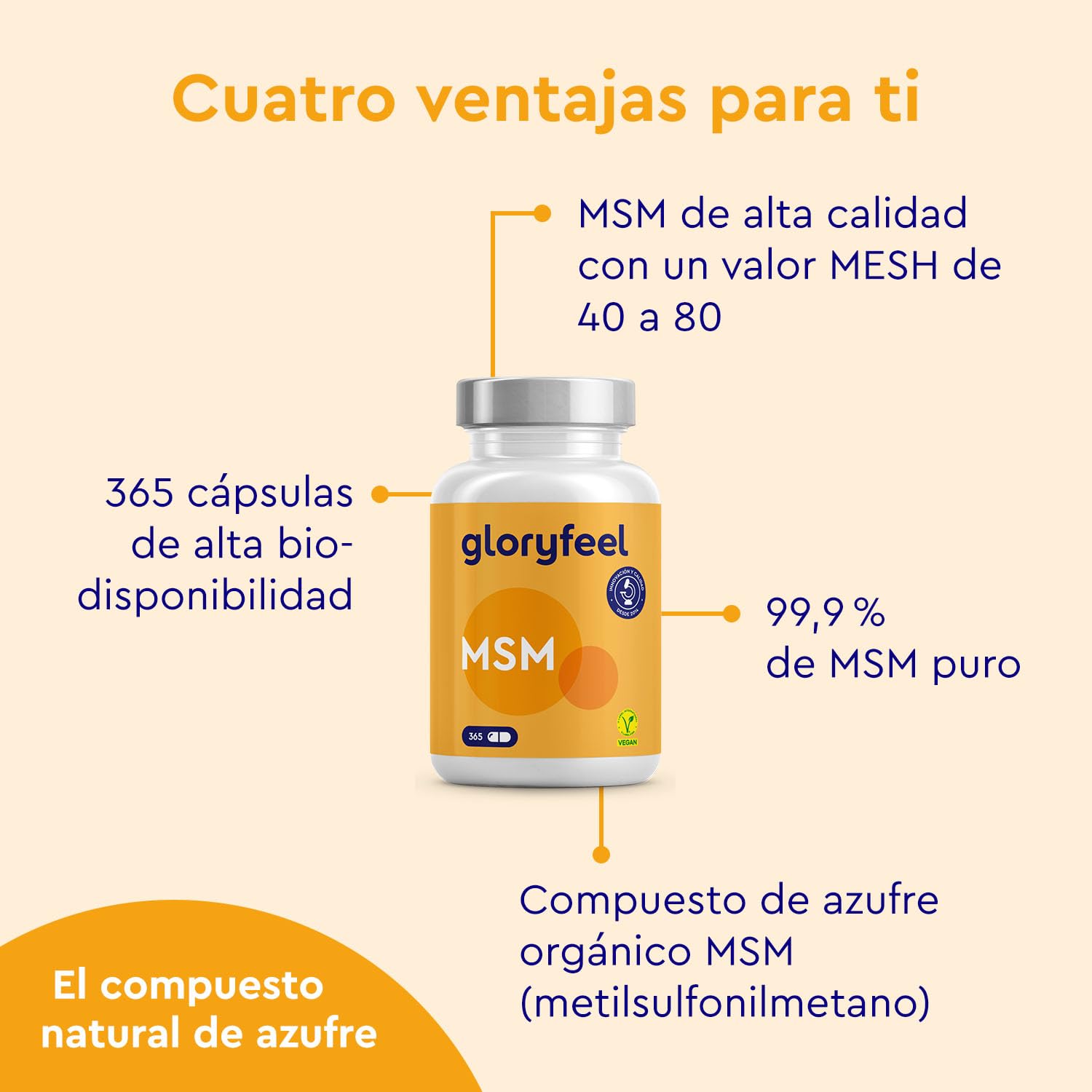 MSM 365 Cápsulas - 99,9% de MSM puro en polvo - 1600mg Metilsulfonilmetano en polvo de azufre orgánico - 6 meses de suministro - Probado en laboratorio y sin aditivos