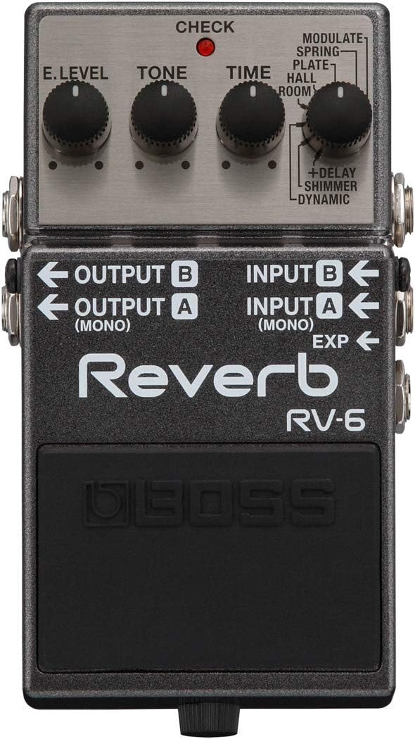 Boss RV-6 Reverb Bundle with Instrument Cable, Patch Cable, Picks, and Austin Bazaar Polishing Cloth