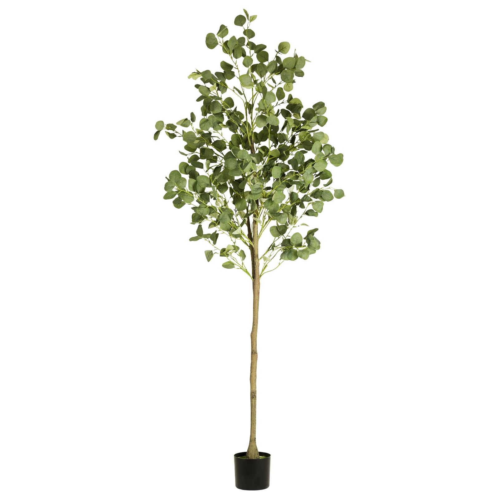 CADUKE Arbre Artificiel Eucalyptus 1,8m pour Salon