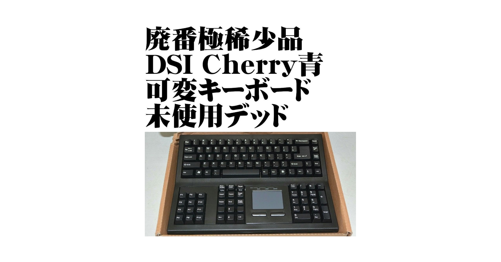 Amazon | 極稀少DSI 可変式 金融 特殊 キーボード KB-8861 青軸