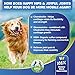 16oz Anti Chew Spray Deterrent for Dogs, No Chew Pet Training Corrector to Stop Biting | Non-Toxic | Alcohol Free | Made in USA