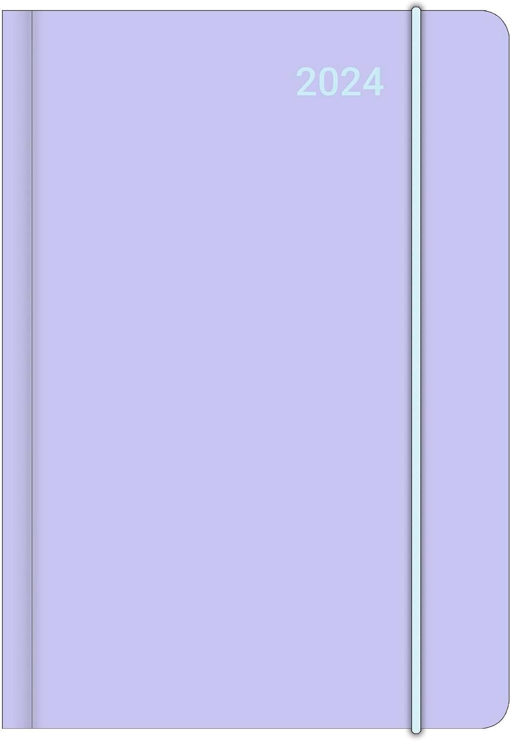 TRANSLUCENT 2024 - Diary - Buchkalender - Taschenkalender - 12x17: Midi Flexi Diary EarthLine