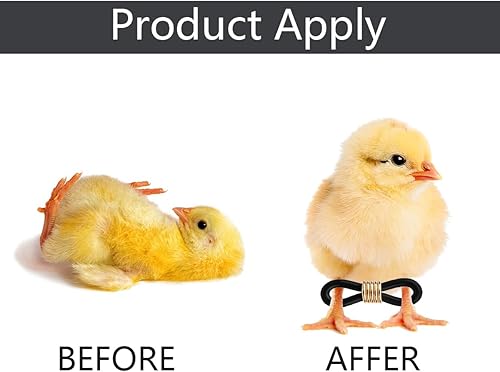 Miniatura 2 de 50 unidades de bandas de pollo de pierna de bebé, tirantes ajustables para reparación de piernas de Spraddle suministros de cuidado de aves de