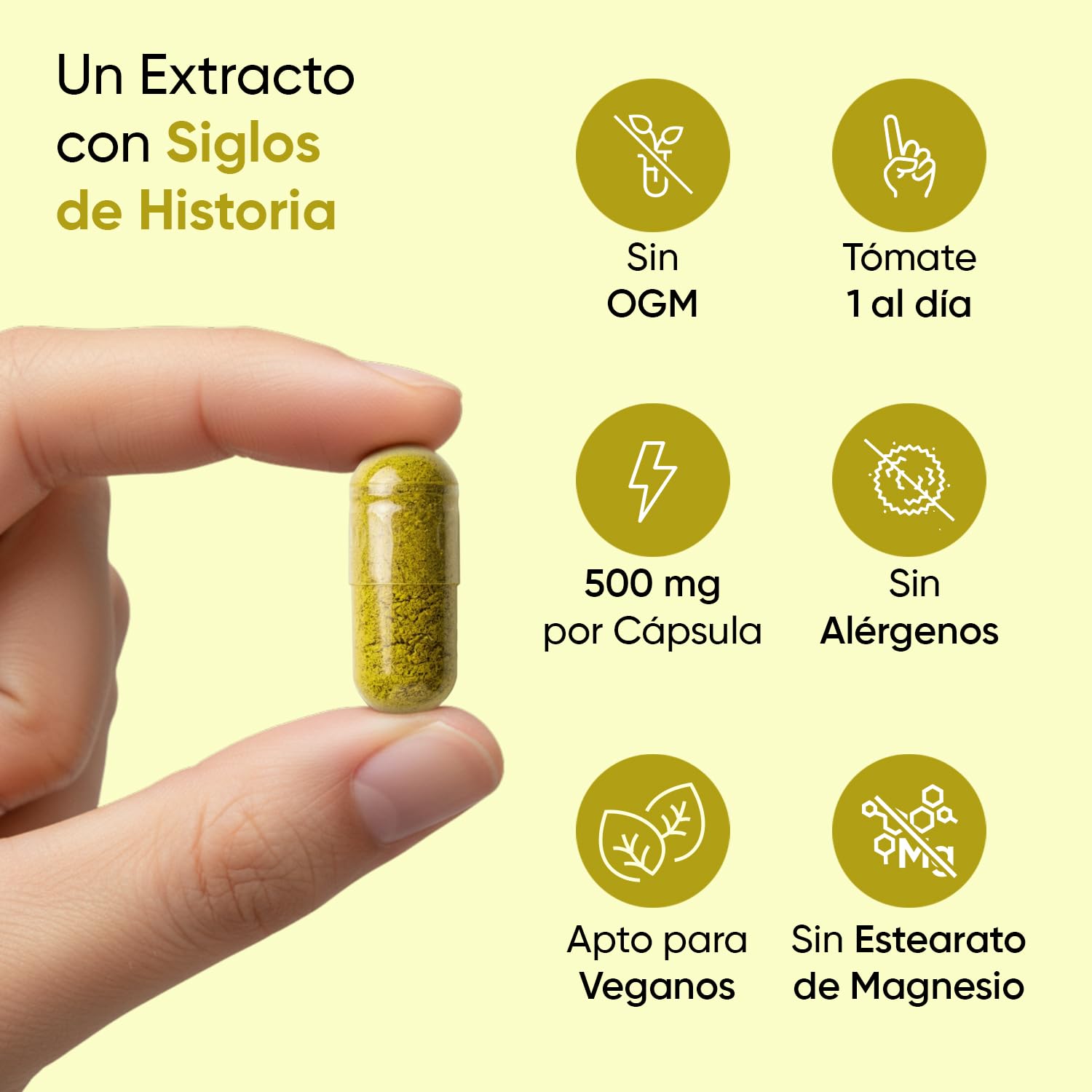 Berberina 500mg - 120 Cápsulas, 85% de Berberina Rica en Alcaloides - Para 4 Meses de Suministro - Suplemento de Berberine Apto para Veganos, Sin Alérgenos, Sin Gluten y Sin OGM
