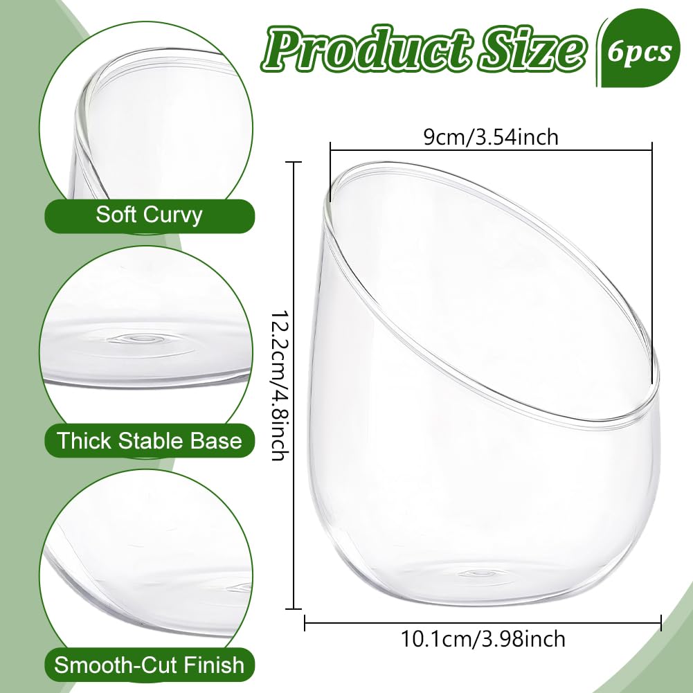 6 Terrarium en Verre Transparent pour Plantes Aériennes Vases Ronds en Verre Transparent de 12.2cm Vase/Terrarium pour Plante Succulente et Cactus Idéal pour la Décoration Intérieure