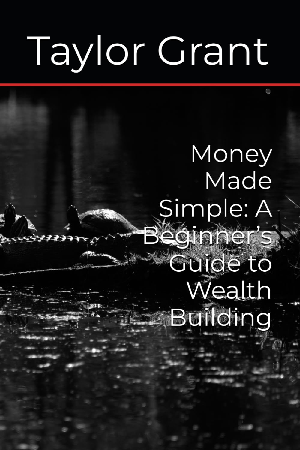 Money Made Simple: A Beginner’s Guide to Wealth Building