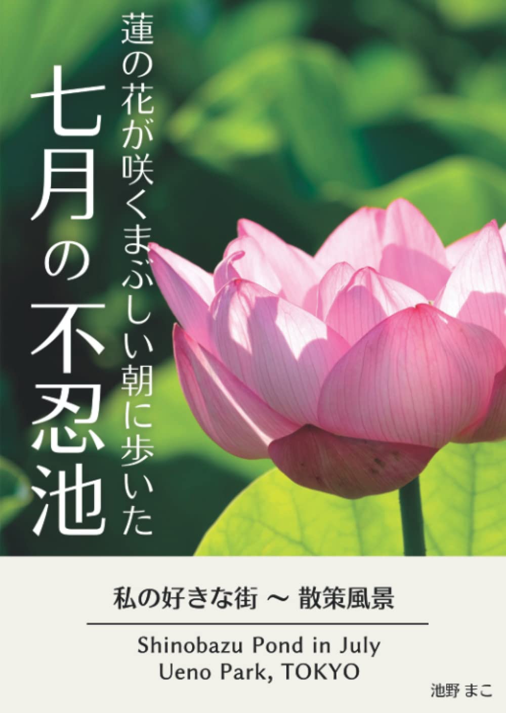 Amazon.co.jp: 蓮の花が咲くまぶしい朝に歩いた七月の不忍池: 私の好き