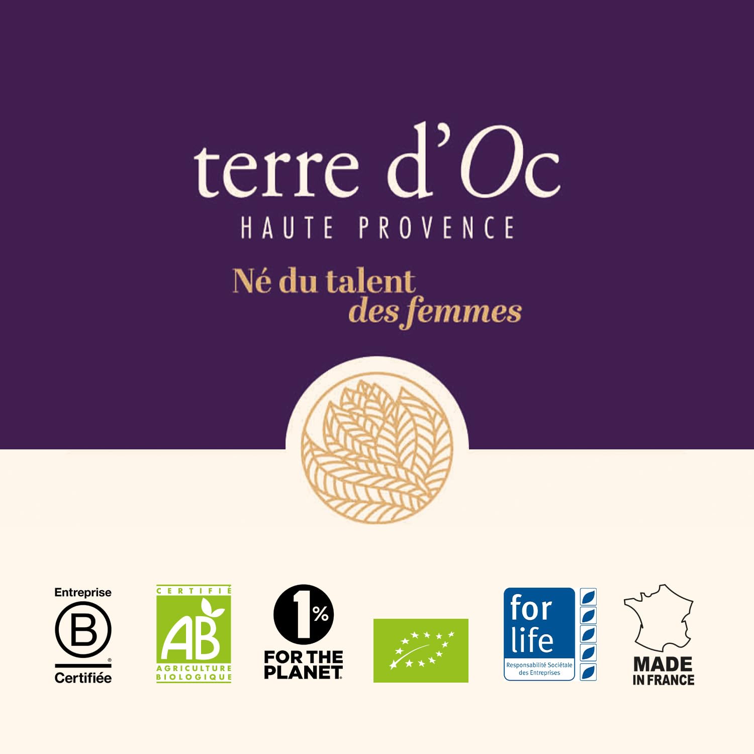 Terre d'Oc - Coffret 42 Sachets de Thés Bio – Collection des 6 Thés de Nos Régions - Thés Verts et Noirs - Saveurs Fruitées et Authentiques - Idée Cadeau Homme et Femme - 84g
