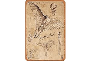 Fantastic Beasts Plush Collection:Enchanting Stuffed Animals to Unleash Your Magical Side