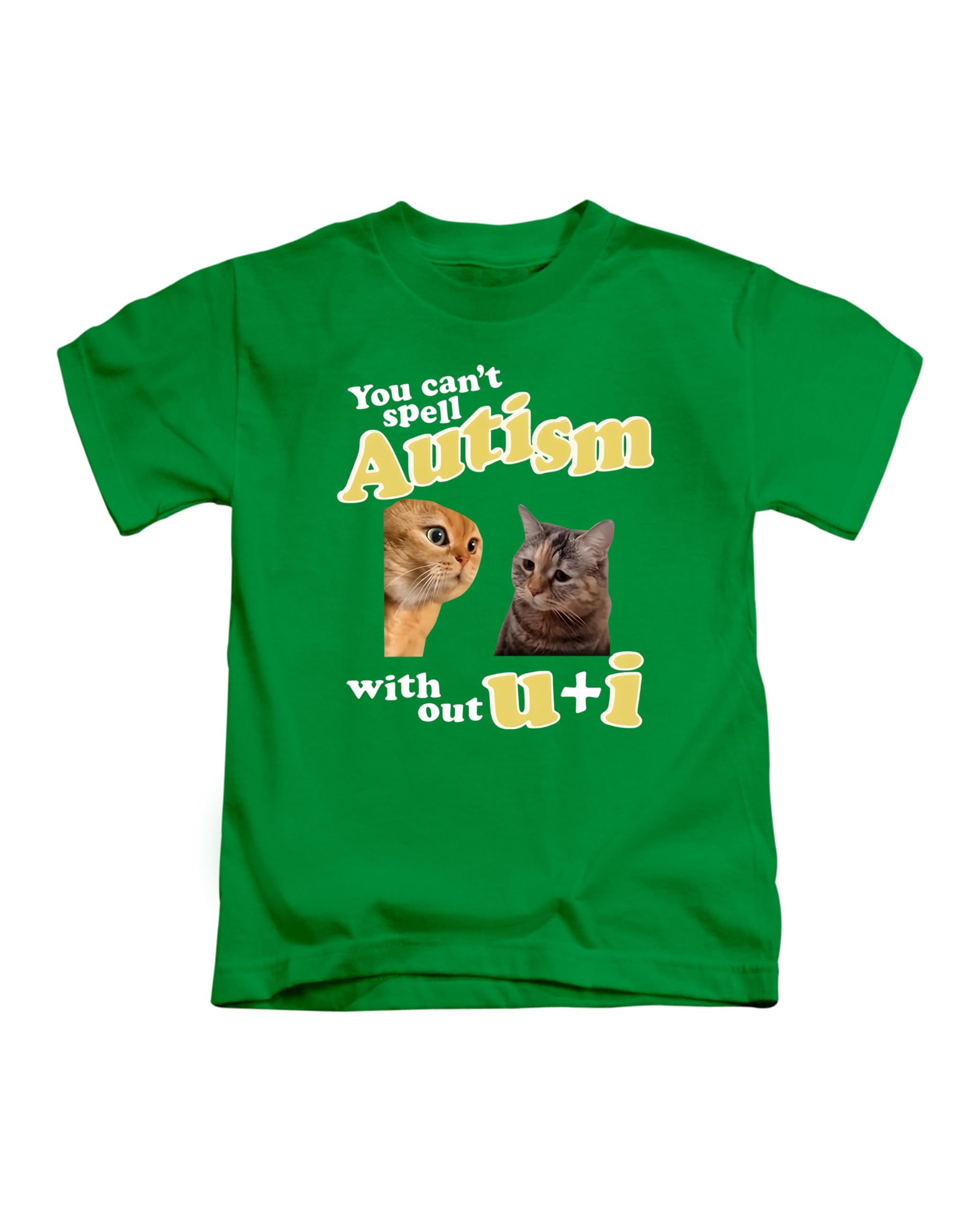 Taylor Brown Unisex Irish Green Can't Spell Tism Without U And I, Brainrot Meme Novelty Silly Rude Humerous Joke Tee T-Shirt Funny T Shirt Top