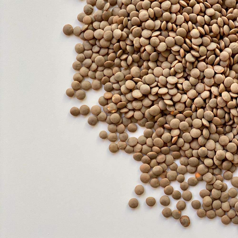 LENTICCHIE ROSSE | Il Contadino | Legumi Secchi (20 Kg)