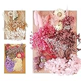 trockenblumenstrauß 【Vielfalt der Blumen】：Sie erhalten 3 Packungen mit verschiedenen Arten von trockenblumen, jede Packung enthält 7-8 verschiedene Arten von Blumen, eine reiche Auswahl an Blumen und Farben von getrockneten Blumen, je nach Ihren Vorlieben, um Ihre verschiedenen DIY Bedürfnisse zu erfüllen.