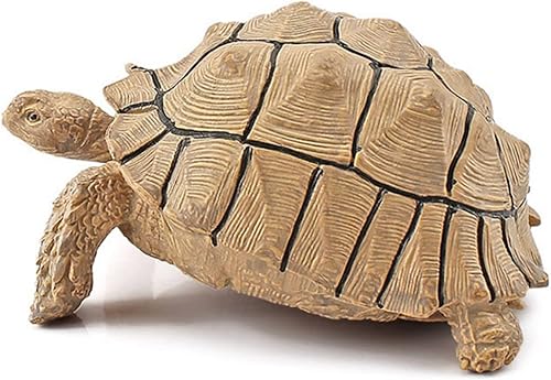 Miniatura 3 de Estatua de tortuga Sulcata Stigmochelys pardalis Leopardo Tortuga Leopardo Terrapin Estatua de tortuga Decoración de tortuga Decoración para el