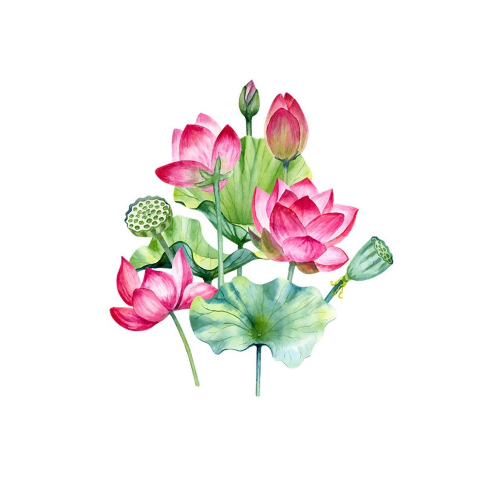Suya Flower Butterfly Stickers