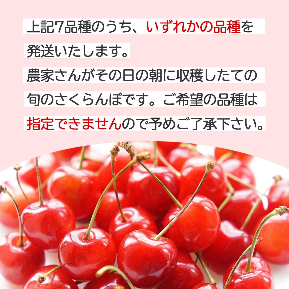 Amazon.co.jp: さくらんぼ 品種おまかせ 青森県産 家庭用 良品 訳あり