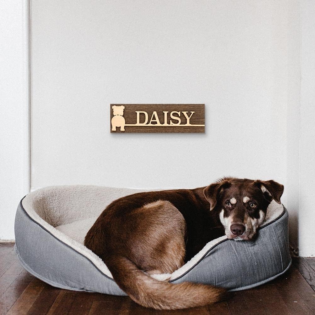 GUANKE Personalized Wall Mount Dog Leash Hangers - 4 Hooks Pet Organizer with Custom Name & Breed Key Storage Rack for Entrance & Living Room