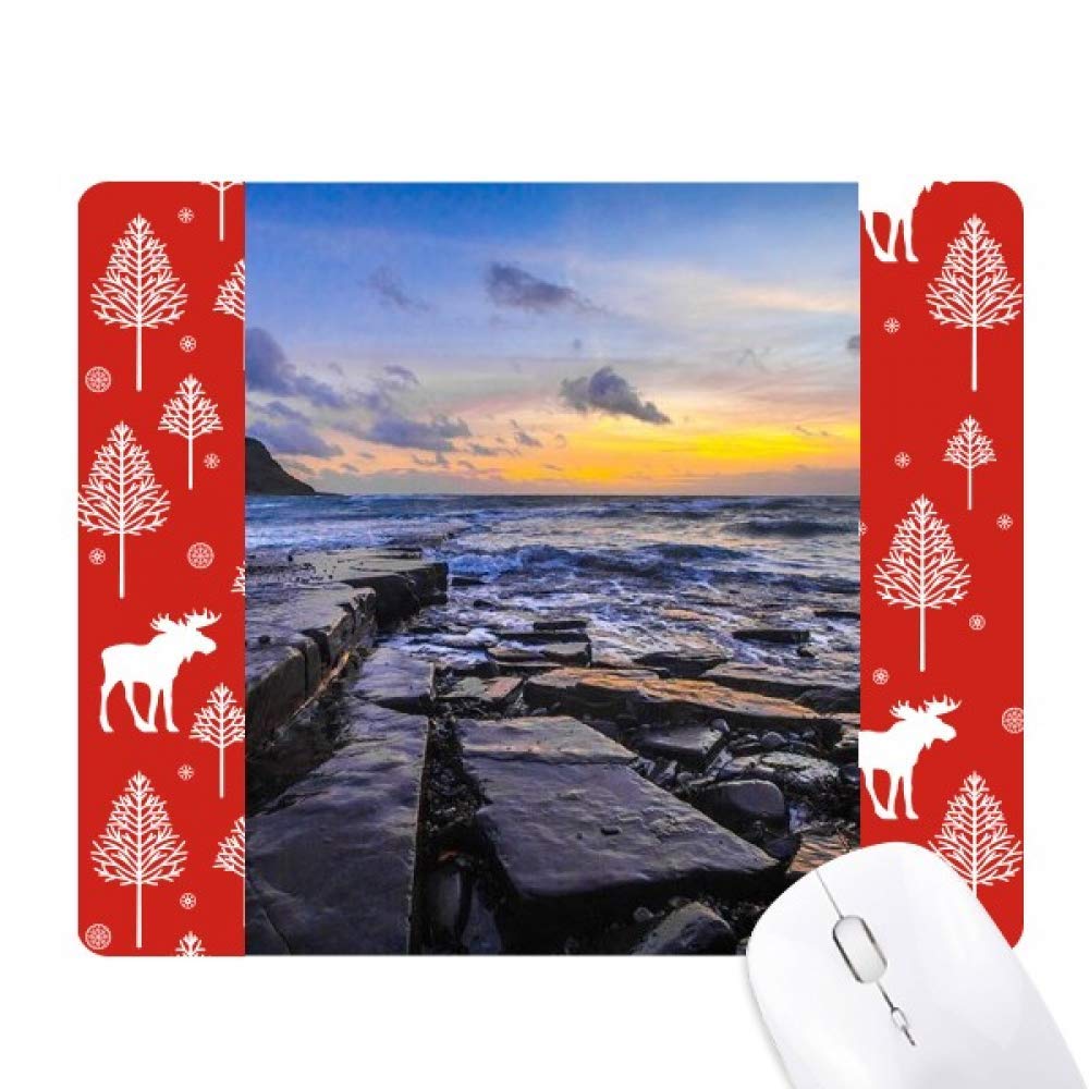 Tapis de souris Ocean Stone bois de Noël sciences de l'eau bureau - 5