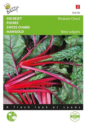 Buzzy Seeds 002106 Rhubarb Chard - Micro feuilles à tige
