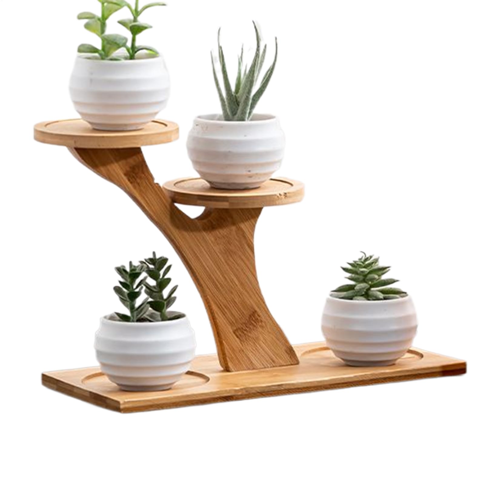 Présentation de rangement haut de gamme style moderne rustique en bois