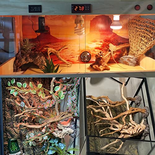 Bnosdm Reptile Wood Branches Decor Lizard Habitat Decoration Terrarium Tree Trunk Ornament For Bearded Dragon Gecko Snake Frog Chameleon Spider 2Pcs #TOP5