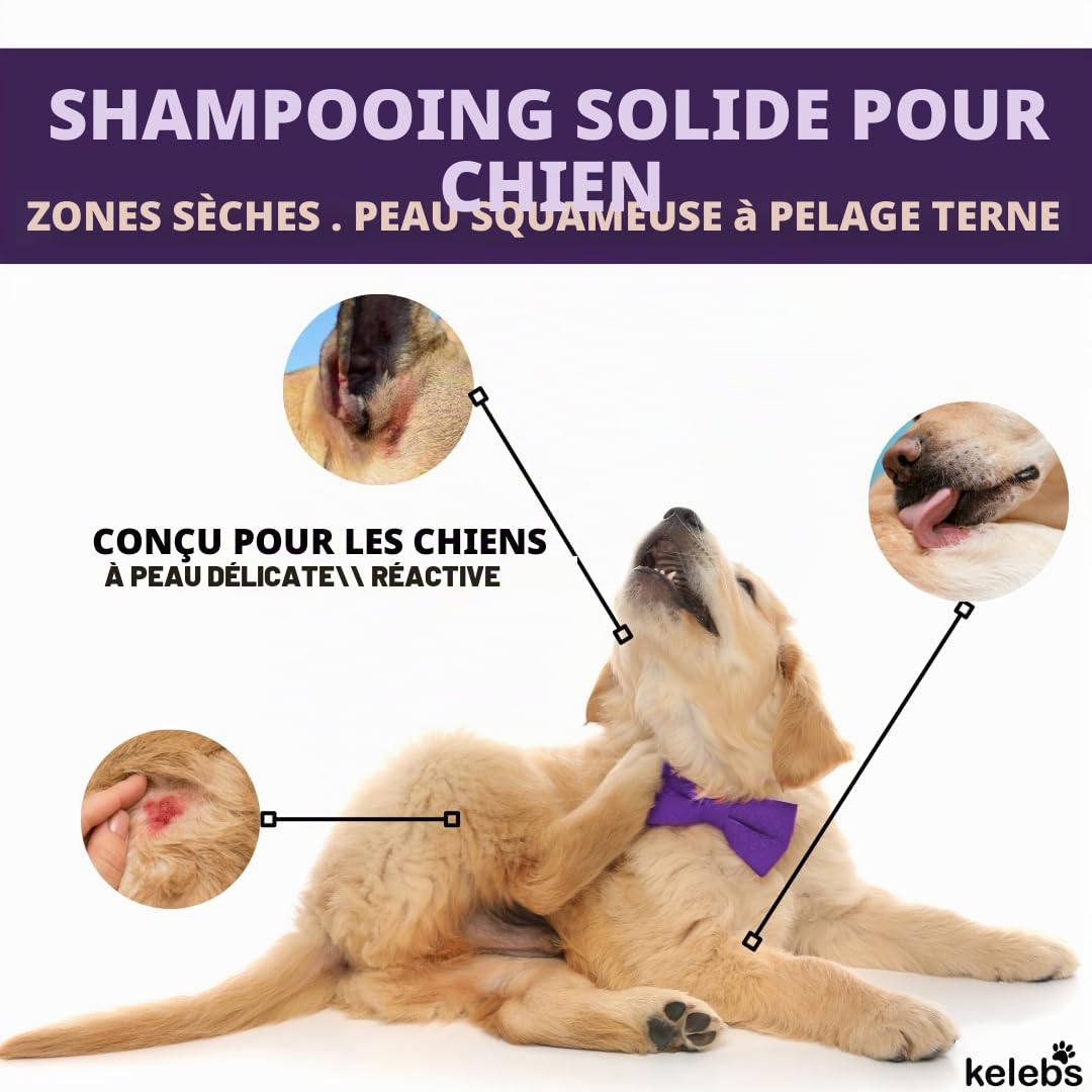 Kelebs Shampoing Chien et Chiot Naturel Anti Démangeaisons Anti Puces Anti Stress a la Lavande Huiles Essentielles Aux Flocons D'Avoine Bio Peau Sensible Anti Odeurs Biodegradable 3 Pieces
