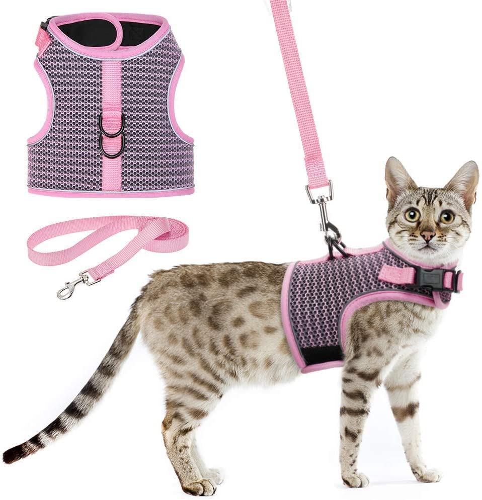 KUTKUT 2024 Newewst Style Breathable Dog Cat Harness and Leash Set Escape Proof - Reflective Vest Harness for Kitten Small Medium Dogs with Durable Leash for Outdoor, Training Walking (L) (B09Y2D71MR) Amazon Price History, Amazon Price Tracker