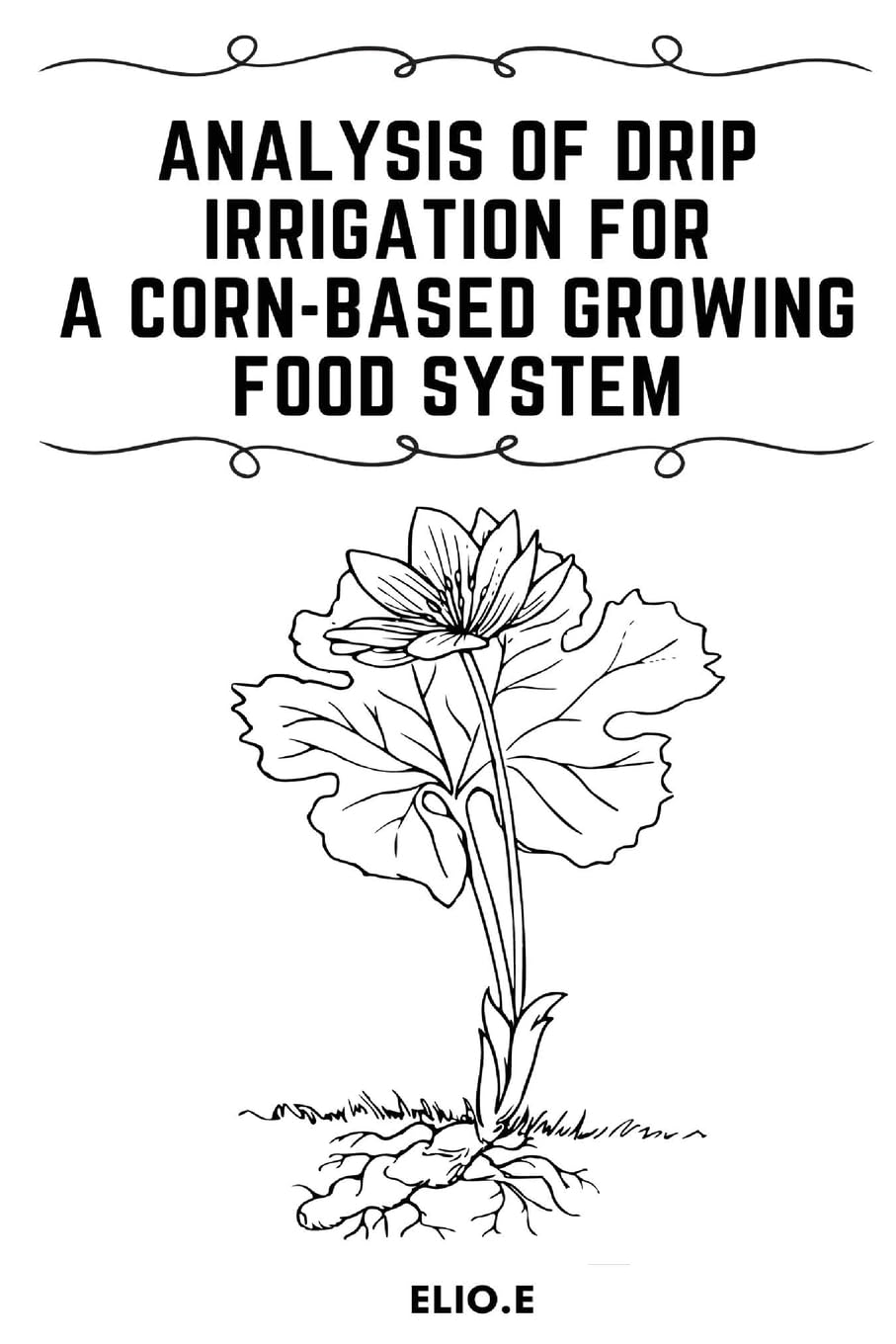 Analysis of Drip Irrigation for a Corn-Based Growing food System