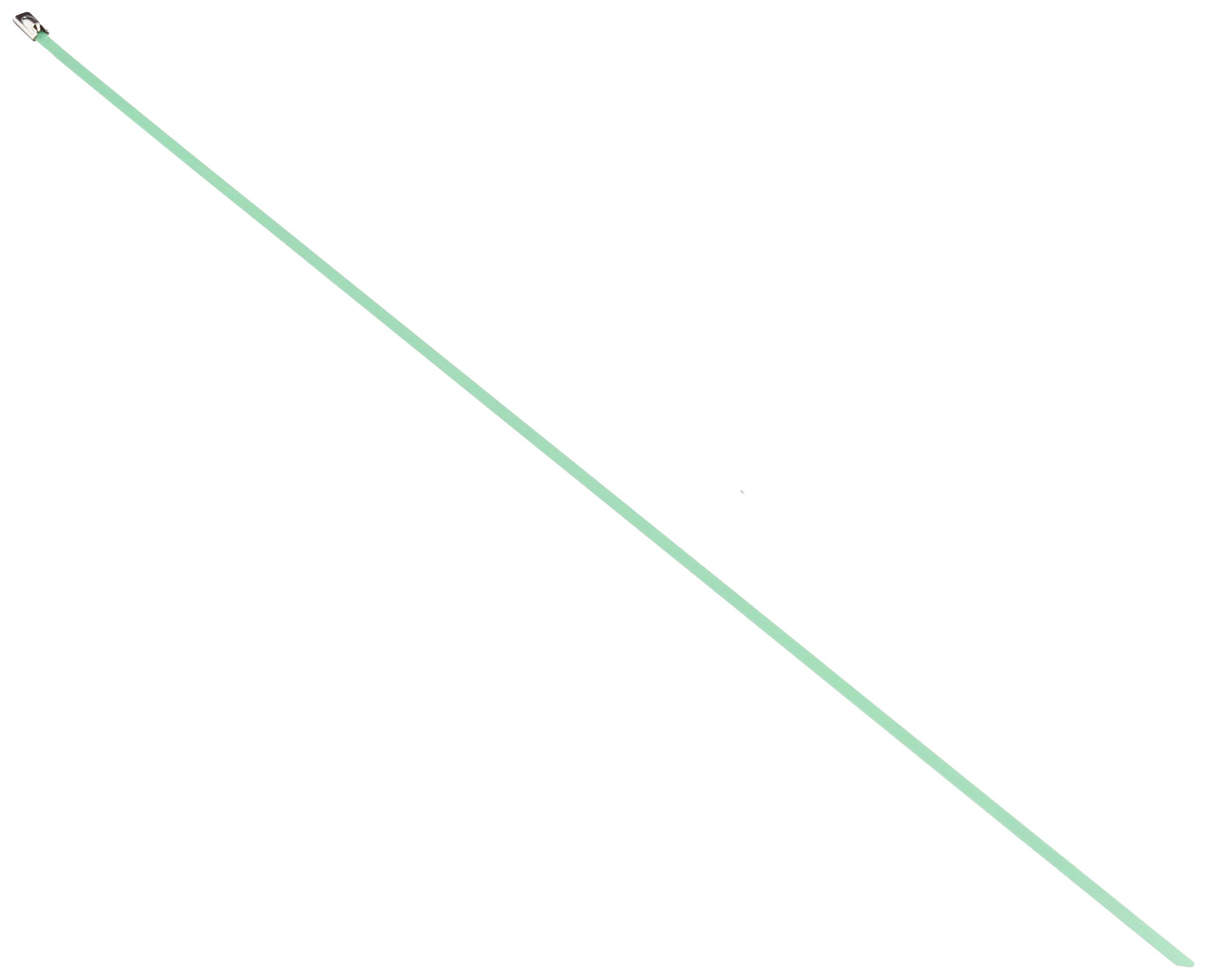 DeLock Stainless Steel Cable Ties L 500 x W 4.6 mm Green Pack of 10
