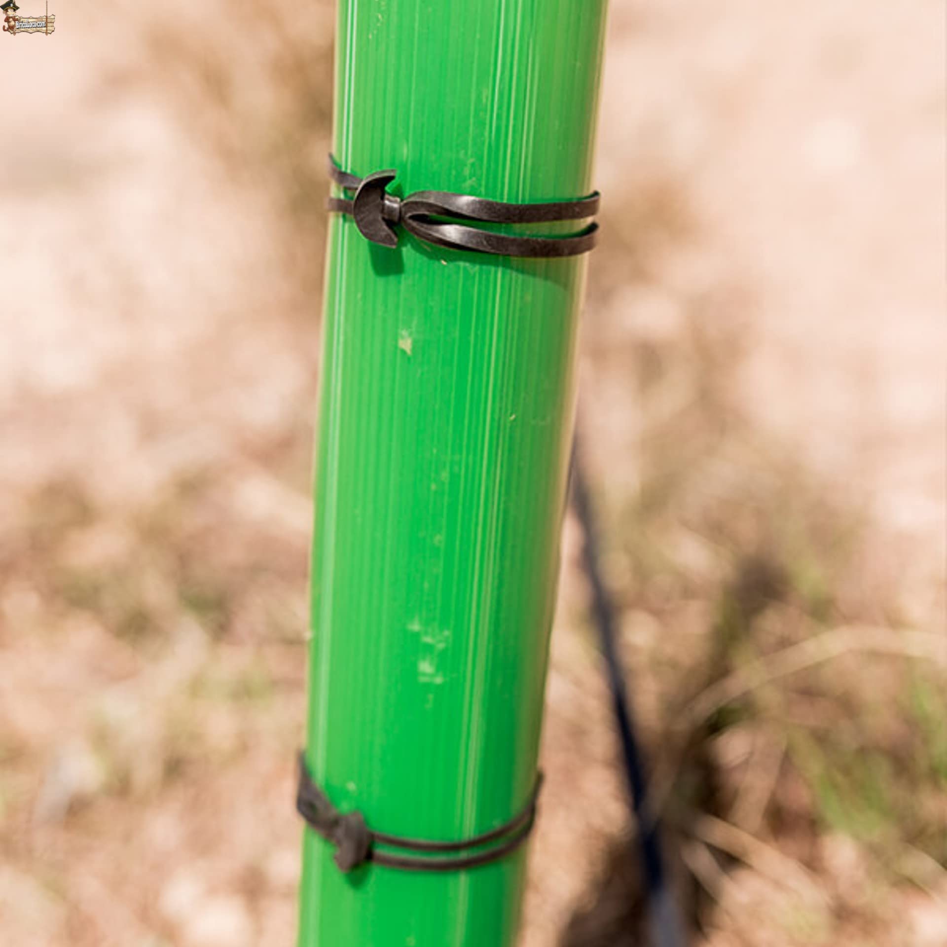 BricoLoco.com Elastici di ancoraggio elastico. Piante, alberi, Legare le viti in legatura. Sostituisce filo, nastro, fili e corde, per unire il tutor senza danneggiare la pianta (1000, n. 8)