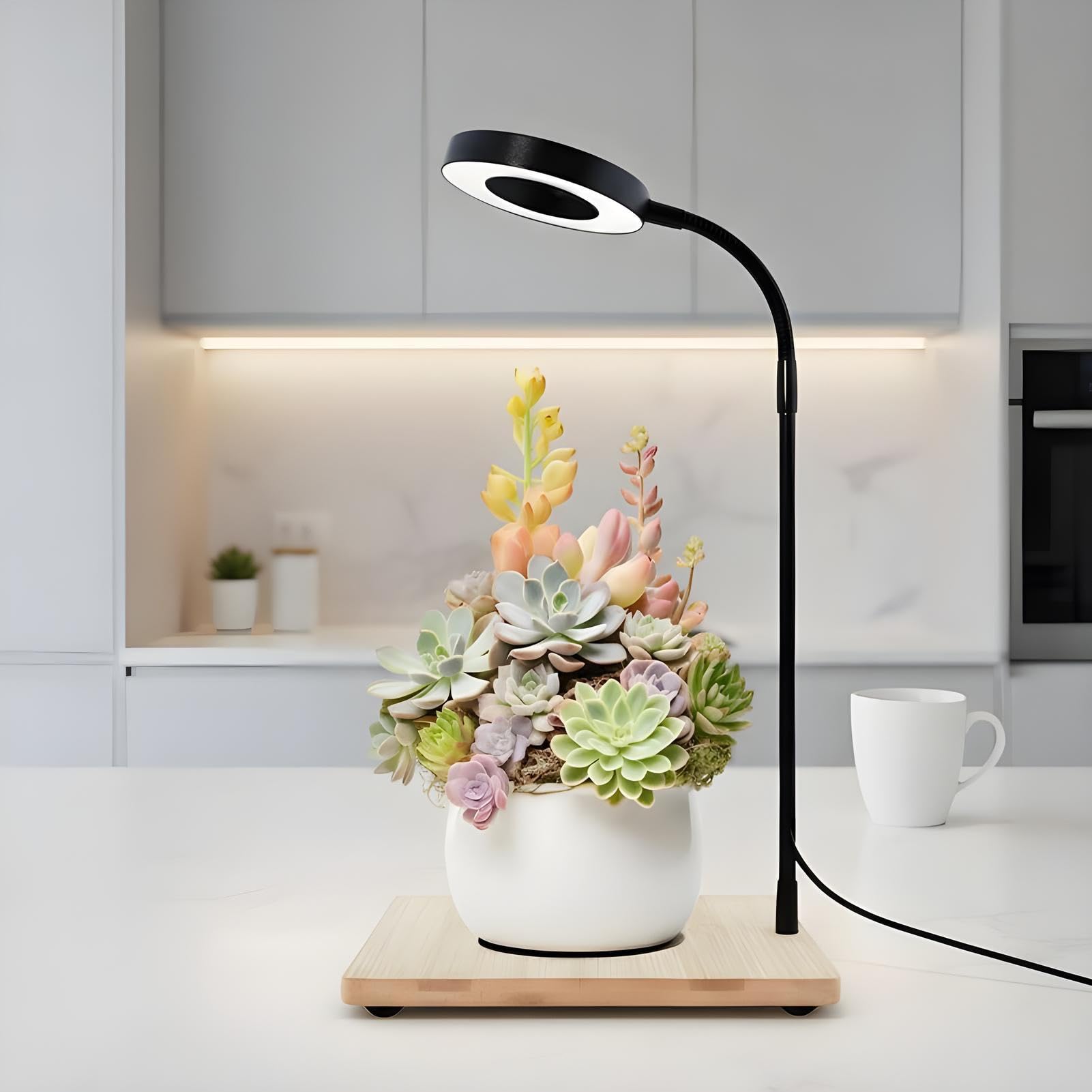 Lampe de Croissance LED Éclairage D'Aquarium LED Rotatif Alimenté Par USB | Lampe De Culture Pour Terrariums Intérieur pour Bureau Domicile Vitrine Présentation