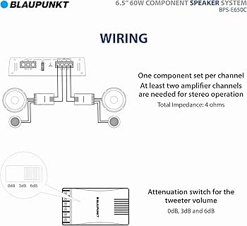 61RJsHtVkEL._AC_UF350,