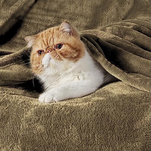 Bedsure Fleece Blanket Throw Size Taupe Lightweight Super Soft Cozy Beige Bed Blanket #TOP1