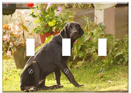 Interruptor Placa Triple Palanca - Mis Perros El Campo Armenia Quindio