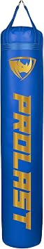 Heavy Punching Kicking Bag for Adults, Boxing, MMA, Martial Arts, Muay Thai, Strength Training Equipment, Filled, 6ft, 150 lbs, Vertical Logo