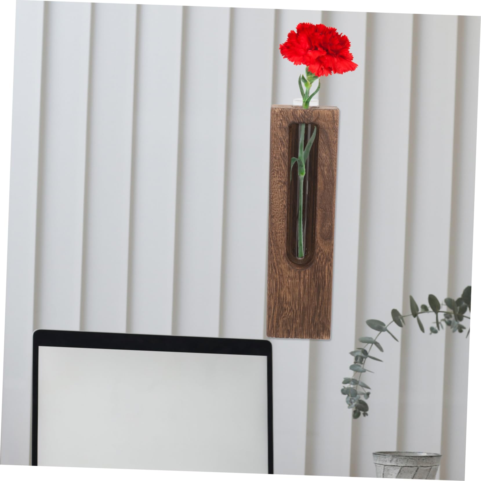 Vase Hydroponique Mural en Verre avec Support en Décoration Murale pour Plantes Suspendues Jardinière Verticale Maison Bureau Vase et Élégant