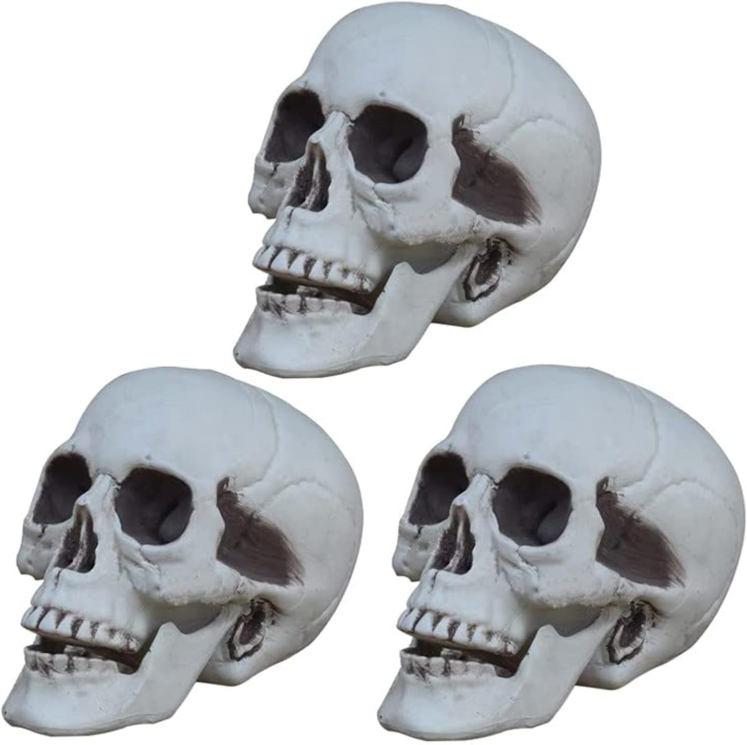 – Jorunb Halloween Decoration Skull Skeleton Head Realistic Looking Fake Skull Decor Large Halloween Decorations for Home Table Party Bar Decor Props Plastic (Medium-3pcs)