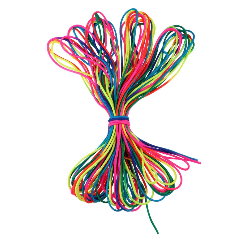 lahomia 101FT 4mm RainBow Color Paracord Rope 7 Strand Parachute Cord, Great for Making