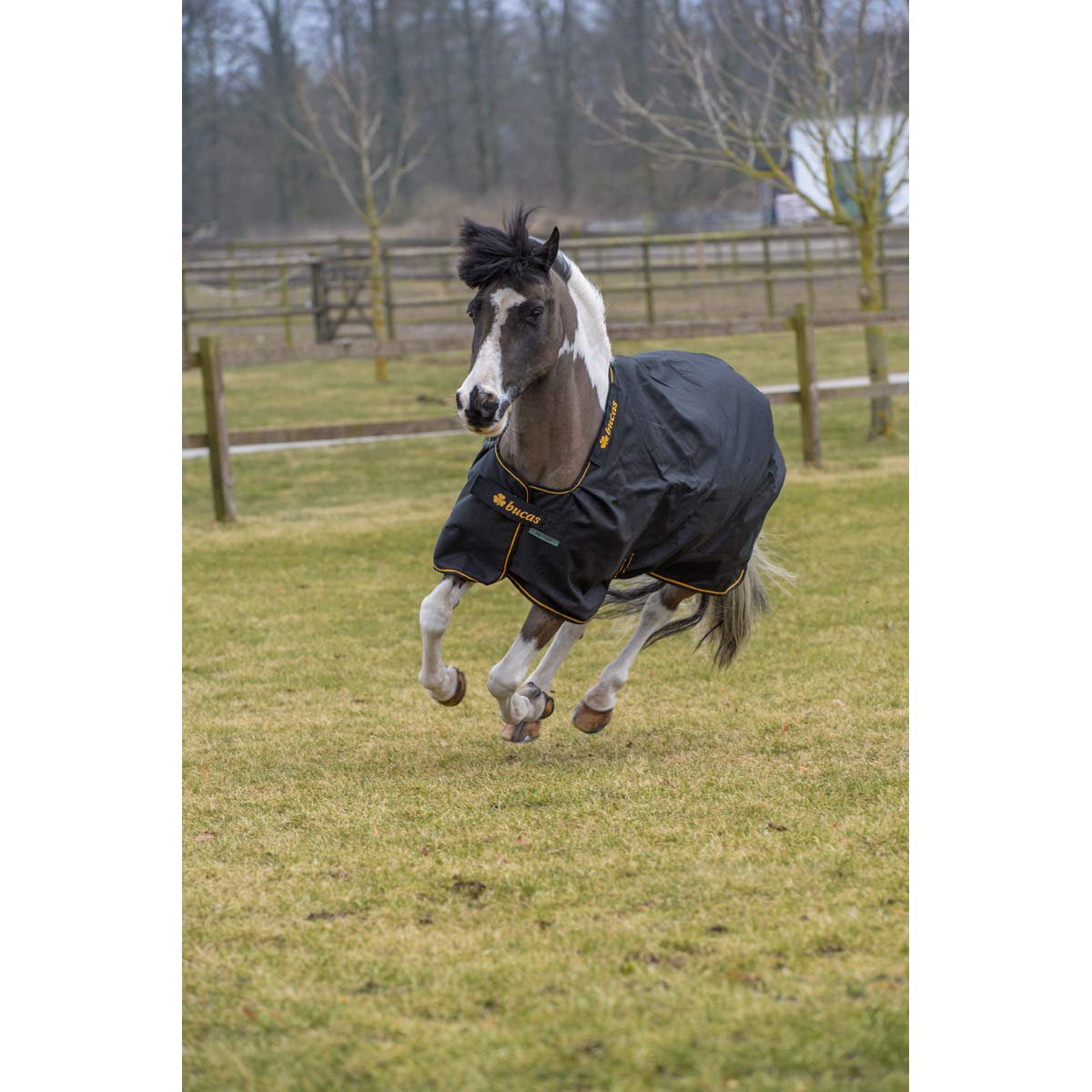 BUCAS Irish Turnout konia Extra 300 g, czarny/złoty, 135 cm