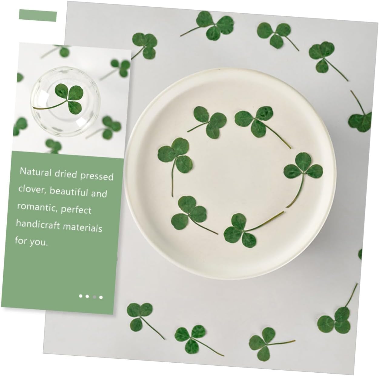 24pcs Dried Pressed Clover Leaves DIY Crafts Natural Preserved Plants for Handmade Scrapbooking Candle Decoration