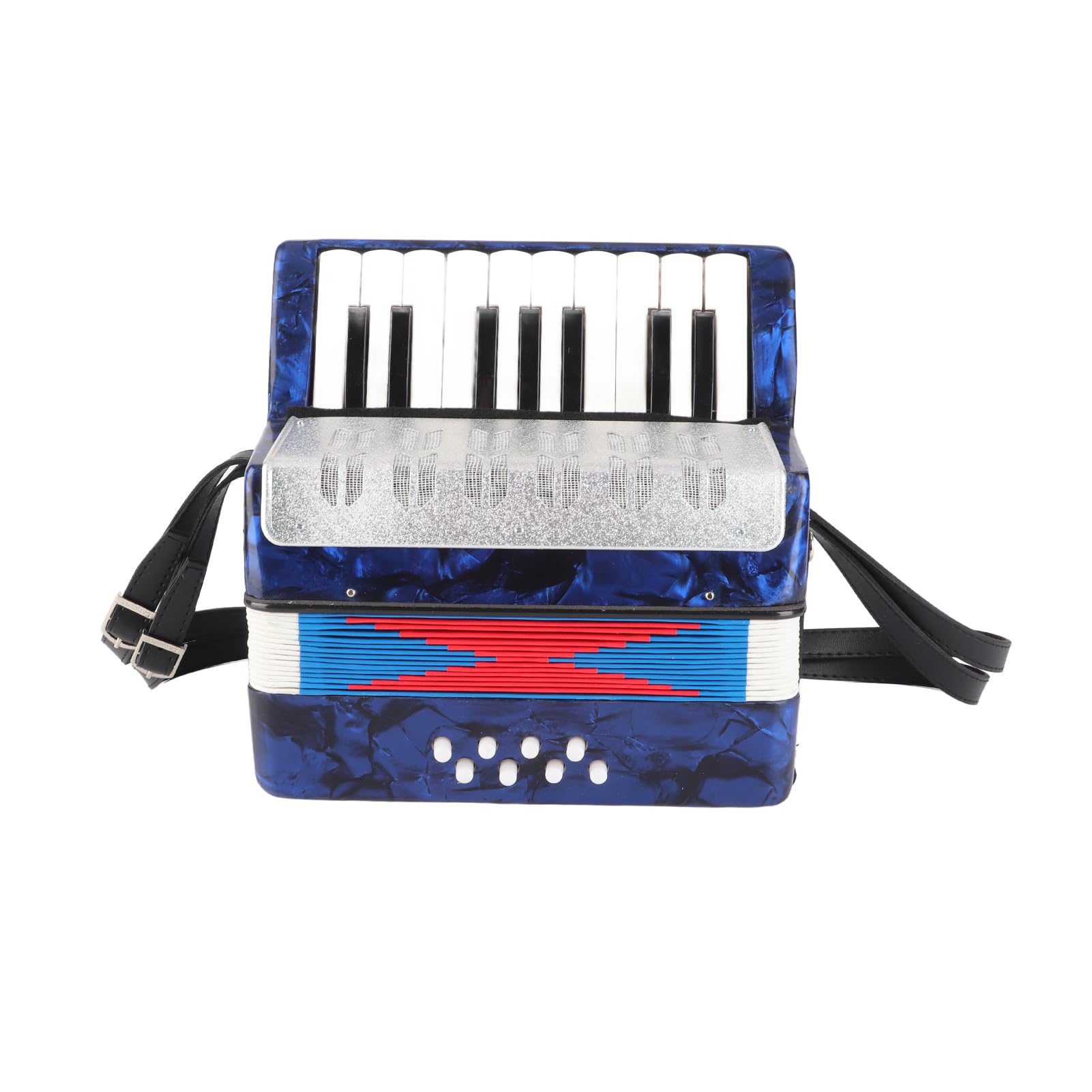 Fisarmonica a Piano 17 Tasti 8 Bassi Fisarmonica a Mano Insegnamento Formazione Coltivazione di Interessi Strumento Musicale per Bambini Studenti Principianti