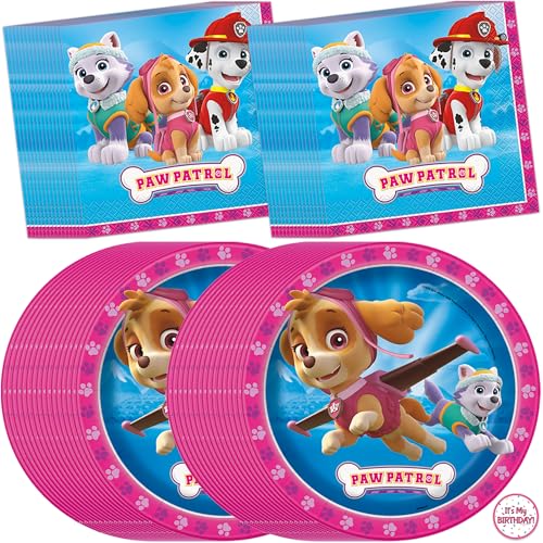 Pink Paw Patrol Plates and Napkins for 32 | Pink Skye Paw Patrol Birthday Decorations for Party | Officially Licensed