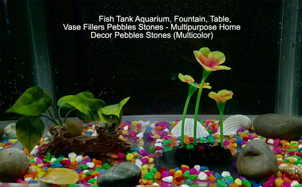 Image of Maalavya Multi-Color Pebbles for Decoration - Mixed Pebbles for Plants Pots, Fish Tank Aquarium, Table, Vase Fillers (1)