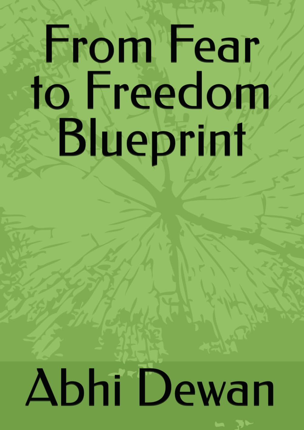From Fear to Freedom Blueprint