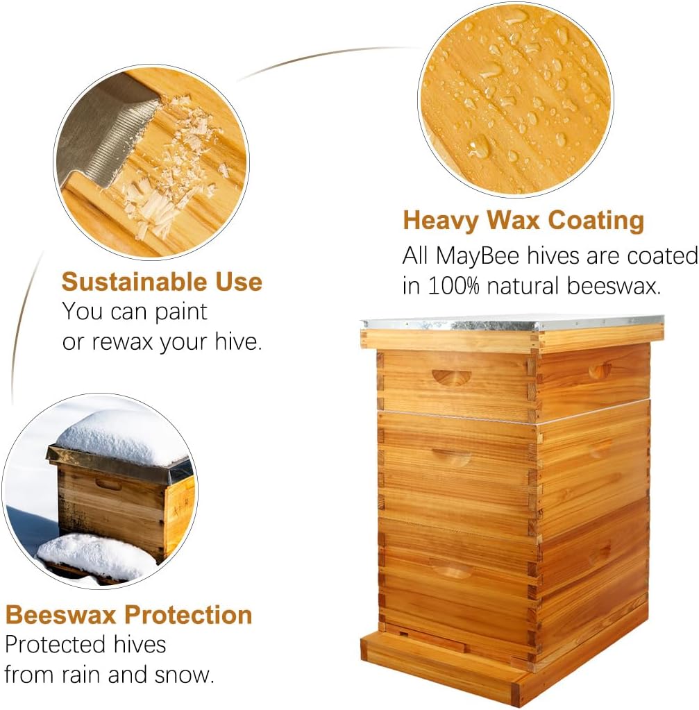 MayBee 10 Frame Screened Bottom Board Beehive Dipped in 100% Beeswax, Bee Hives Kit Includes 2 Deep Boxes & 1 Medium Box with Beehive Frames and Heavy Wax Coated Foundations.Preferred for Summer. - Image 4