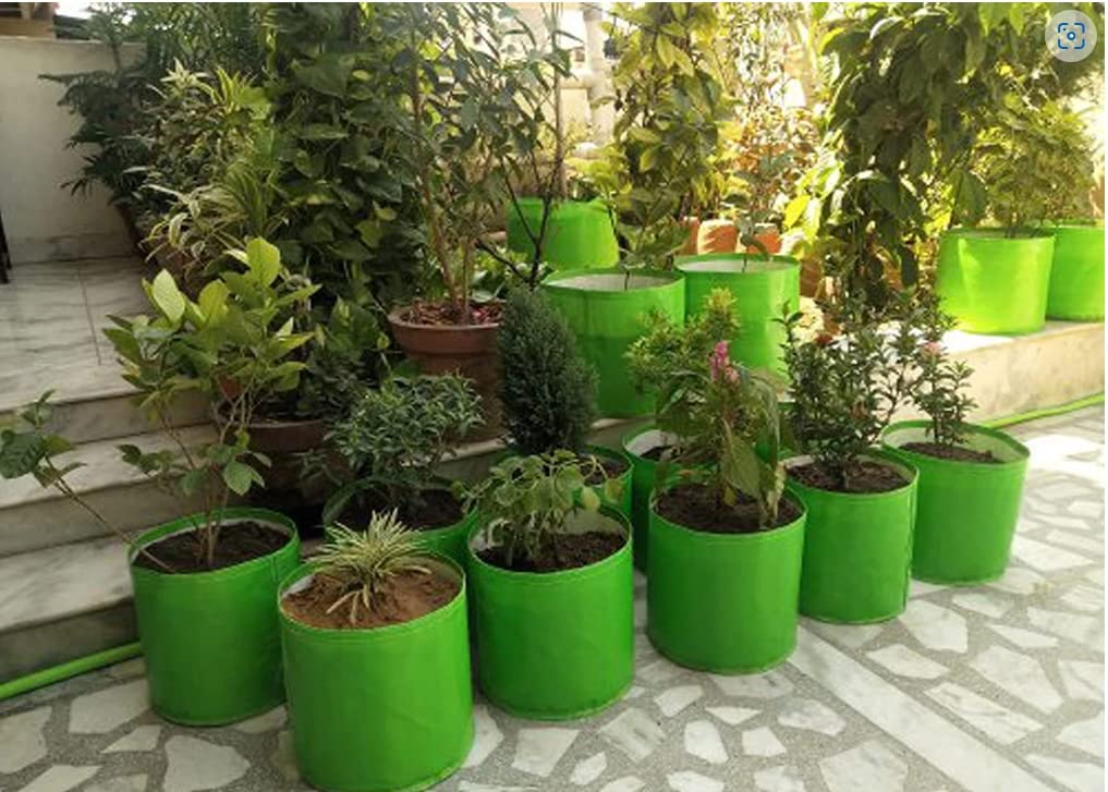 KINGWELL 24x6 Premium HDPE Leafy Grow Bags for Home, Terrace, & Kitchen Gardening | Plant Bag for Vegetables, & Herbs | Round Green Planter | 220 GSM Growing Bags for Spinach (Pack of 2) 3