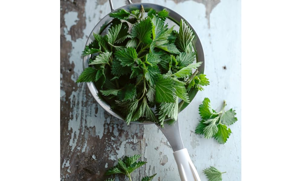 Miniatura 6 de Crema para el cabello, crema hidratante de ortiga, miel, proteína de quinua, tratamiento capilar para nutrición profunda, sin parabenos ni sulfatos,